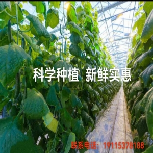 产品中心标题七
