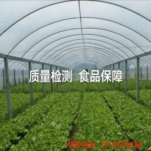 产品中心标题九